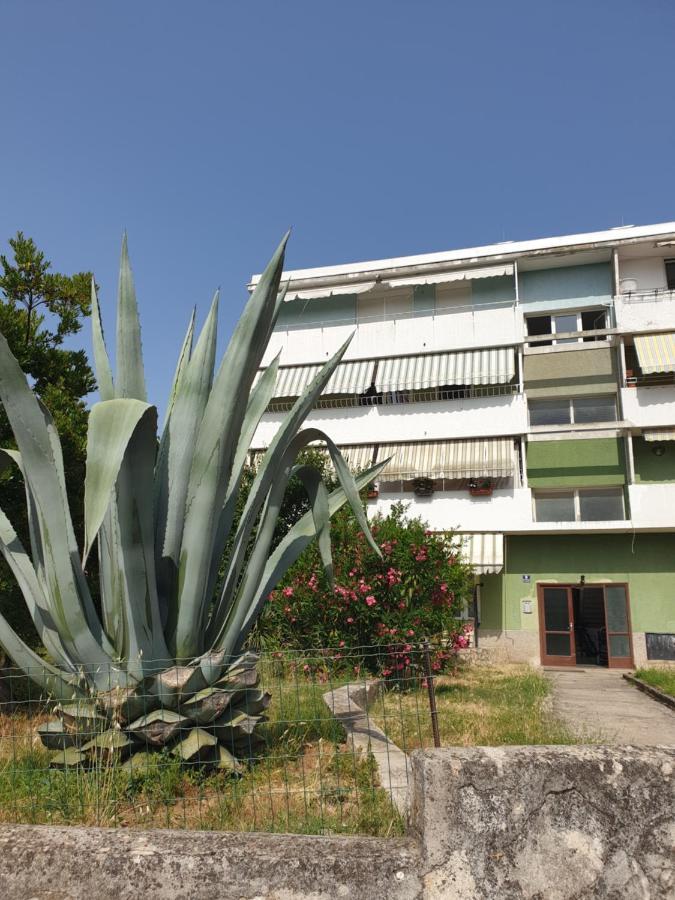 Apartment Maeistro By Privileggio Residence Rovinj Exterior foto